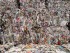 Paper and newspapers