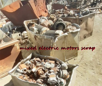 Mixed electric motor